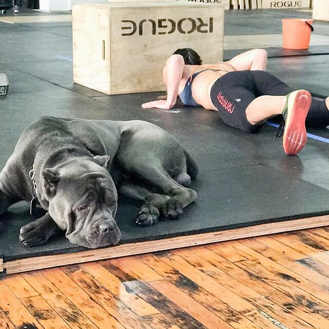 In response to the litany of &ldquo;bUt WhErE&rsquo;s ThE LoYaLtY!?&rdquo; posts i have seen: *Full rant is in my stories*
Dear affiliates and former affiliates,
You do not owe CrossFit, Inc. blind, unconditional &ldquo;loyalty&rdquo;. It&rsquo;s n