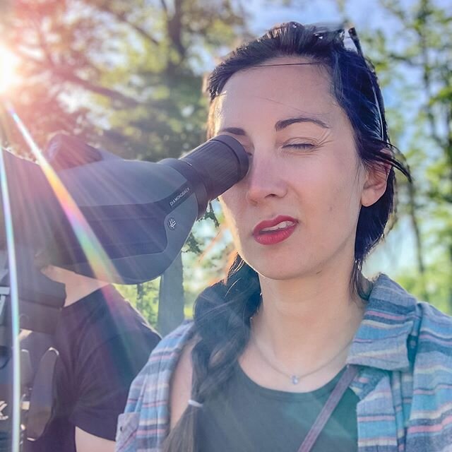 &ldquo;David, are you a dirty peeping Tom?&rdquo;
- Moira Rose
.
.
(two bald eagles have a nest with two eaglets by us that we&rsquo;ve been able to watch and it&rsquo;s AWESOME)